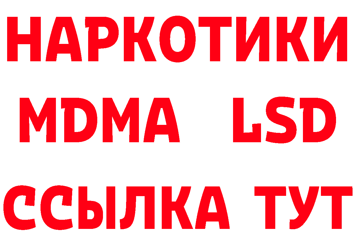 Альфа ПВП СК КРИС как войти мориарти гидра Великий Устюг